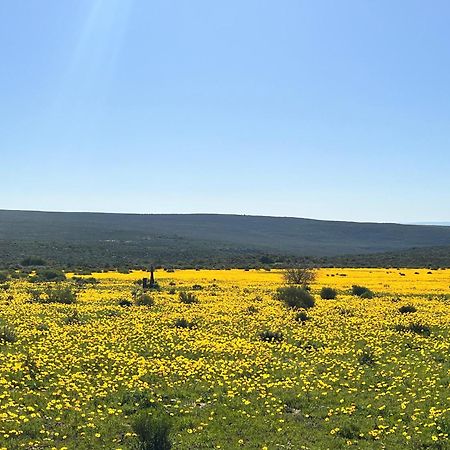 Villa Simbavati Cederberg Ridge Clanwilliam Esterno foto