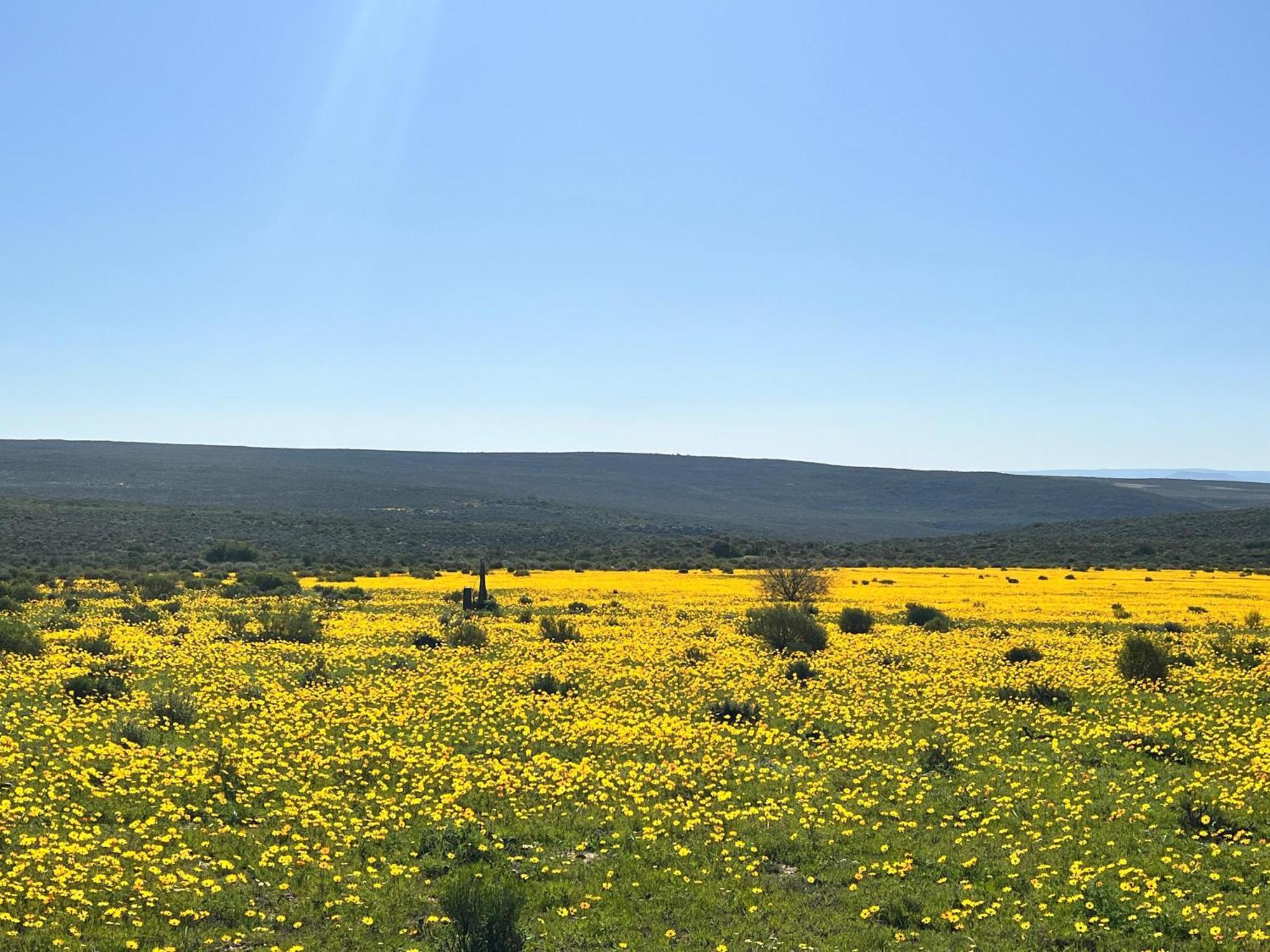 Villa Simbavati Cederberg Ridge Clanwilliam Esterno foto