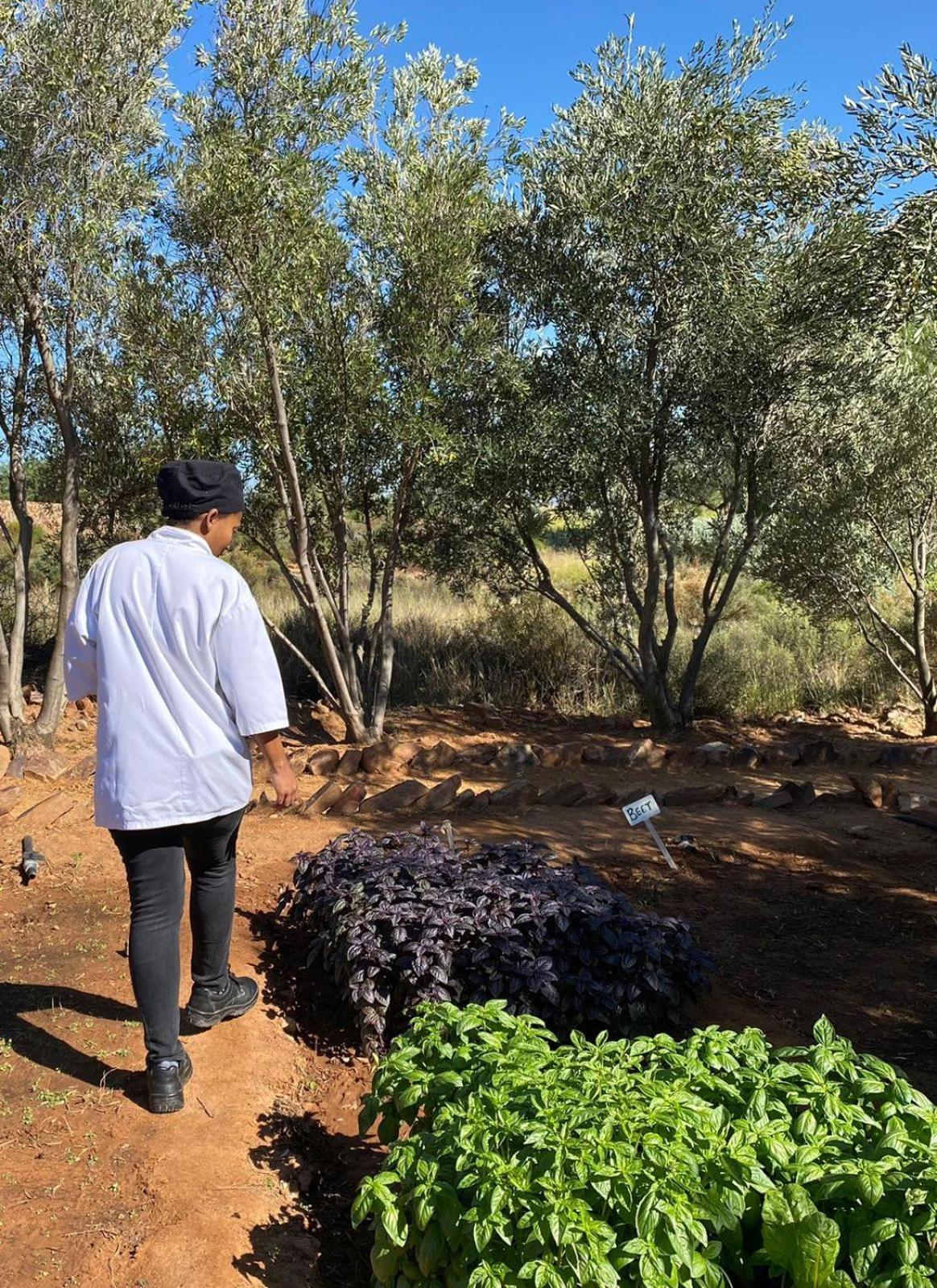 Villa Simbavati Cederberg Ridge Clanwilliam Esterno foto